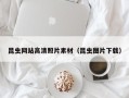 绥化昆虫网站高清照片素材（昆虫图片下载）